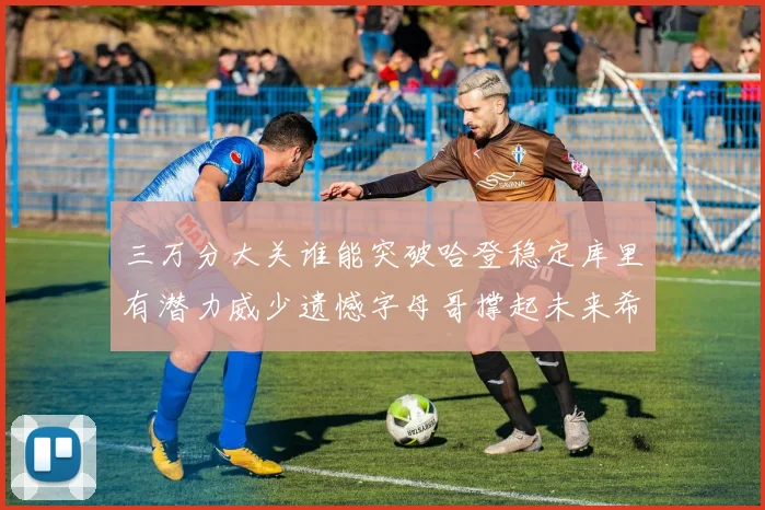 三万分大关谁能突破哈登稳定库里有潜力威少遗憾字母哥撑起未来希望