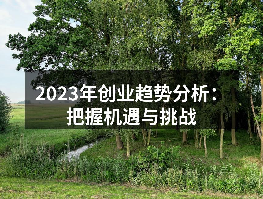 创业者面对数字化转型的机遇