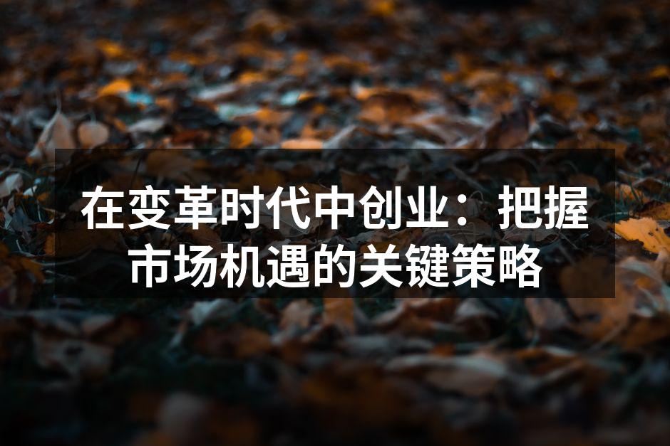 创业者灵活应对市场变化