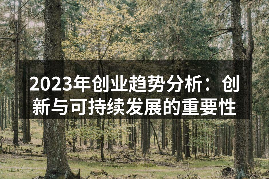 创业者在讨论创新策略